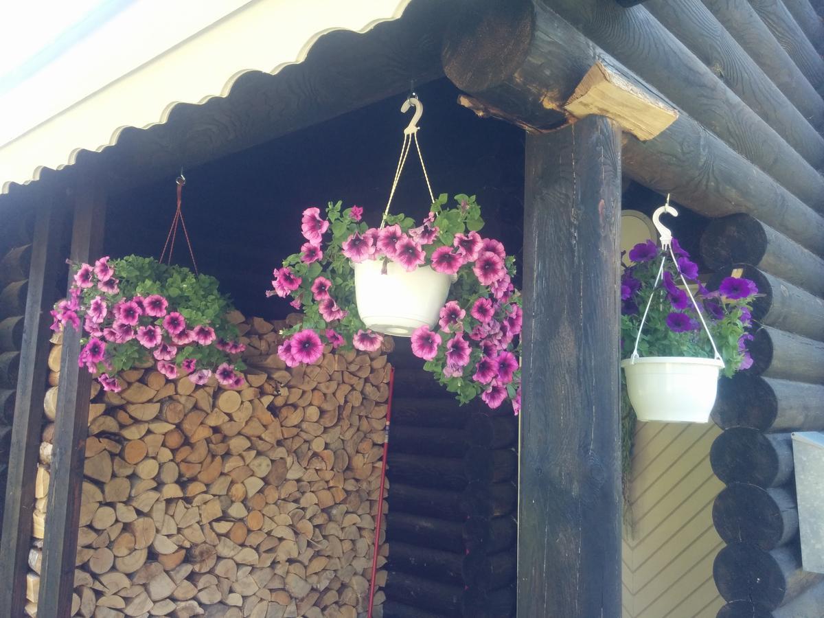 Pensjonat Safari House Otepää Zewnętrze zdjęcie